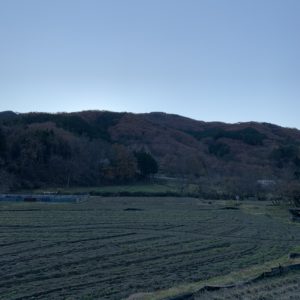 日陰ながら旅情感のある秩父の冬風景2