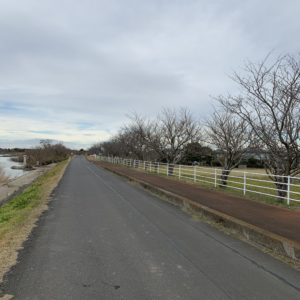 冬らしい葉の落ちた木々が立ち並ぶルート風景＠霞ヶ浦