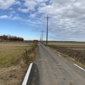霞ヶ浦の水際に向かうあぜ道