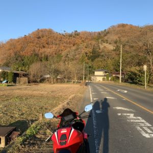 冬なのに茶色の中に緑が残る秩父の山風景withCBR650R