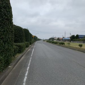 九十九里ビーチラインの外側ルート①