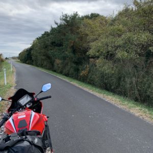 緑が生い茂り内陸の視界が遮られるエリア＠霞ヶ浦