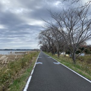 霞ヶ浦土手沿いストレートルート
