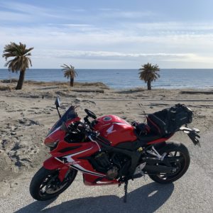 房総半島南端エリアでの南国風ショットwithCBR650R