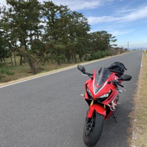 松林の和田公園エリアにて。