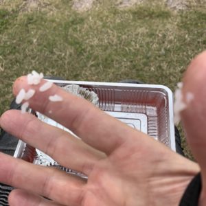 あらいやオートコーナーのお弁当、完食の風景