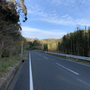 ちょっとワインディングっぽい安房グリーンライン