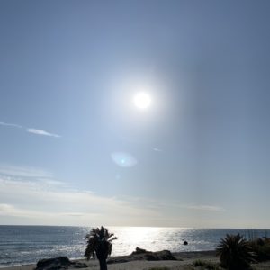 太陽と海と砂浜と椰子の木と@房総