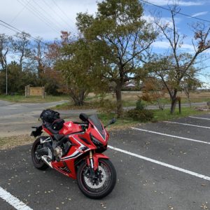 霞ヶ浦・和田公園の秋っぽい風景