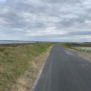 視界の広がる霞ヶ浦周遊ルート