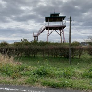 高見台のある大須賀津公園