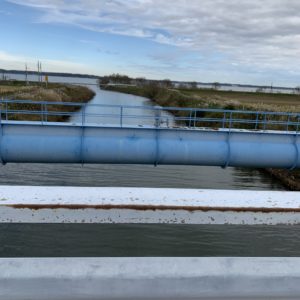 用水路に水際を阻まれ橋を渡り水際に戻る、霞ヶ浦の風景