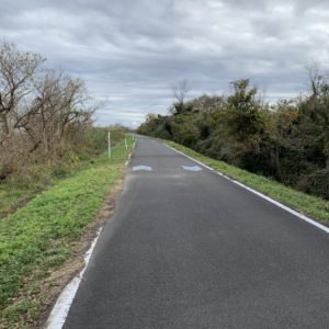 小野川を超えて少し走った緑が生い茂ったエリア＠霞ヶ浦