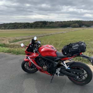 霞ヶ浦内陸側の田んぼと冬間近の緑の風景