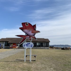 房総半島南端の漁港食堂だいぼの看板