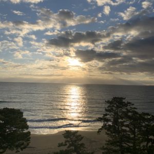 伊豆今井浜東急ホテルの贅沢な朝の風景3連発③