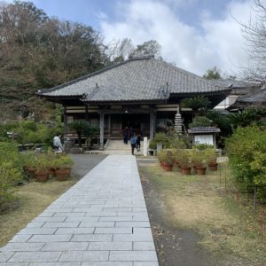 5月にはジャスミンが咲き乱れる日米下田条約が締結された下田・了仙寺