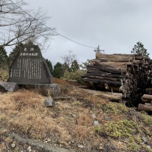 大量の木々が積まれた土肥の大椙跡②