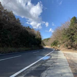 木々に囲まれながら爽快ロードが続く伊豆スカイライン