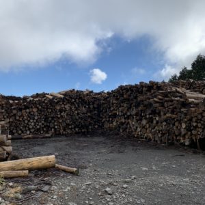 木々が積まれた土肥の大椙跡①