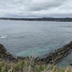 外房・勝浦の八幡岬公園からの湾を望む