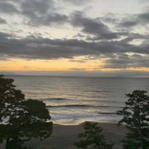 伊豆今井浜東急ホテルの贅沢な朝の風景3連発②