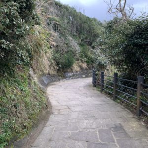 外房・勝浦の八幡岬公園の道を歩く