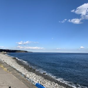 青い海が広がっている東伊豆エリアのR135