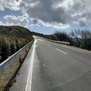 伊豆スカ入って間もない辺りの風景