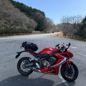 視界が遮られながらも爽快ロードが続く伊豆スカイライン