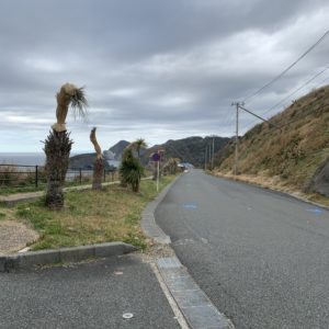 高台のr16沿いユウスゲ公園から一気に下っていくルート風景