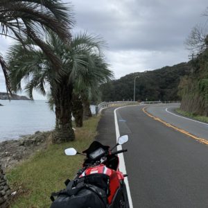 椰子の木が並ぶr16 with CBR650R