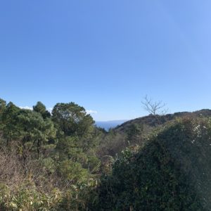 スカイポート亀石でほぼ見えない海を望む