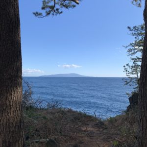 海がすぐそこにある城ケ崎ピクニカルコース