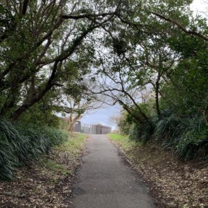 勝浦灯台へ続く坂にて