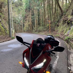 外房の岬の林間部を行くCBR650R