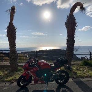 南伊豆ユウスゲ公園手前の椰子の木ロードwith CBR650R③