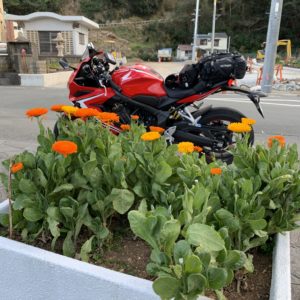 下田公園ペリー記念碑手前のお花とCBR650R