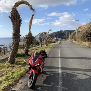 南伊豆ユウスゲ公園手前の椰子の木ロードwith CBR650R①