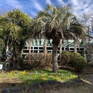 緑豊かな逗子披露山公園のショット