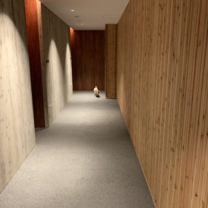 レジーナリゾート旧軽井沢館内うろうろの我が家のダックス①