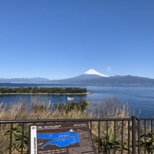 西伊豆大瀬埼手前の展望台からの富士山