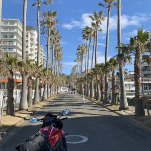 逗子マリーナお決まりのショットwith CBR650R②