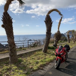 南伊豆ユウスゲ公園手前の椰子の木ロードwith CBR650R②