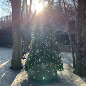 中軽井沢ハルニレテラスのクリスマスデコレーション③