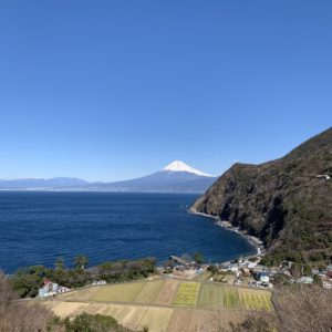 西伊豆・煌めきの丘の富士山②