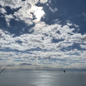 江島神社の展望台からの相模湾の眺め
