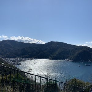 美浜岬を見下ろす西伊豆・出会いの丘②