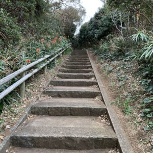 下田・爪木崎灯台に向かう階段にて