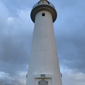 下田・爪木崎灯台に到着、灯台を見上げる